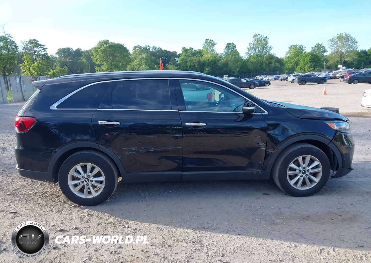 2020 Kia Sorento 2.4L Lx VIN:5XYPG4A38LG691691 - 13