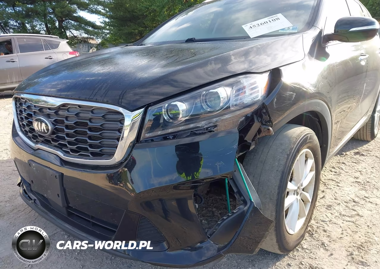 2020 Kia Sorento 2.4L Lx VIN:5XYPG4A38LG691691 - 17