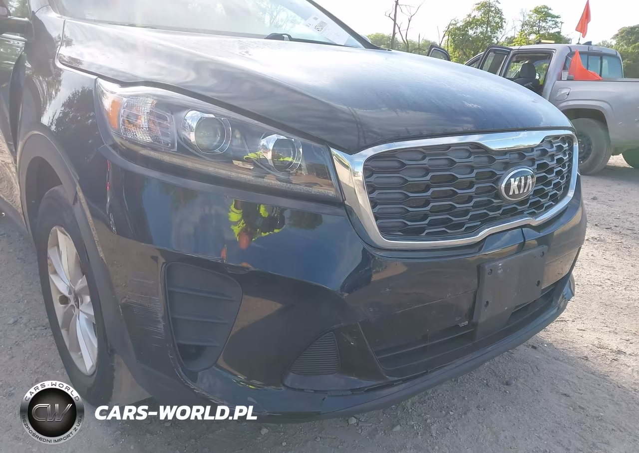 2020 Kia Sorento 2.4L Lx VIN:5XYPG4A38LG691691 - 18