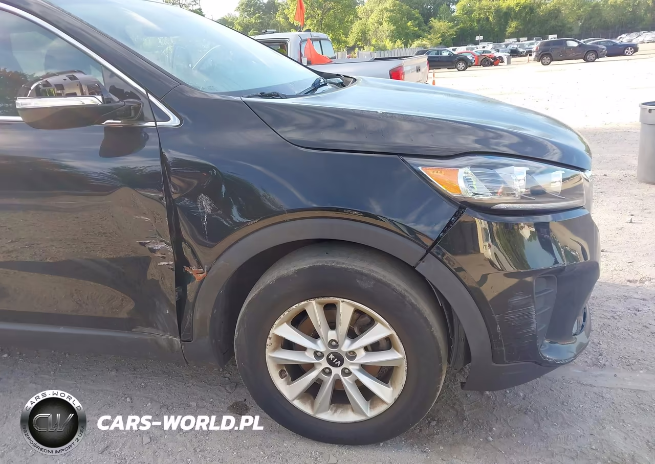 2020 Kia Sorento 2.4L Lx VIN:5XYPG4A38LG691691 - 19