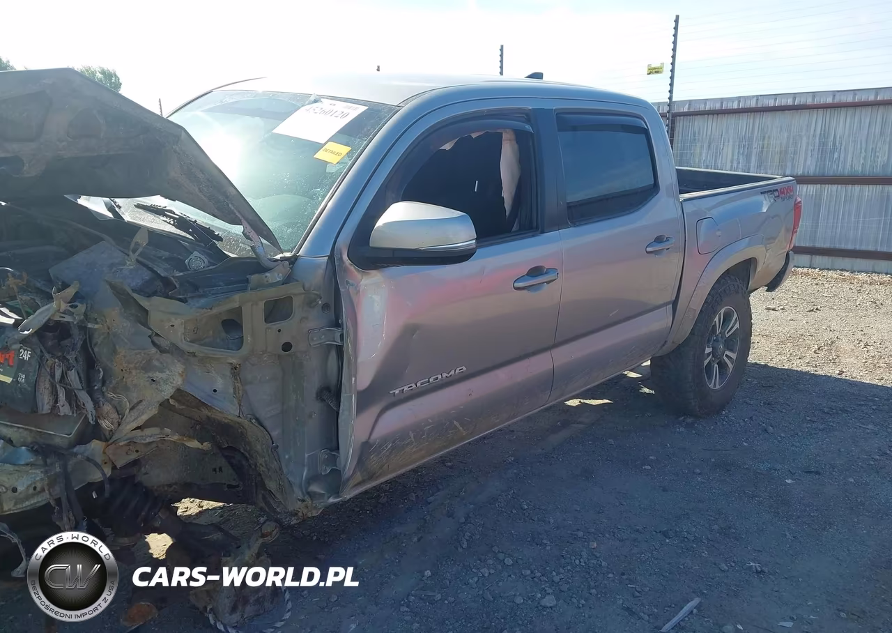 2016 Toyota Tacoma Trd Sport VIN:5TFCZ5AN1GX004294 - 16