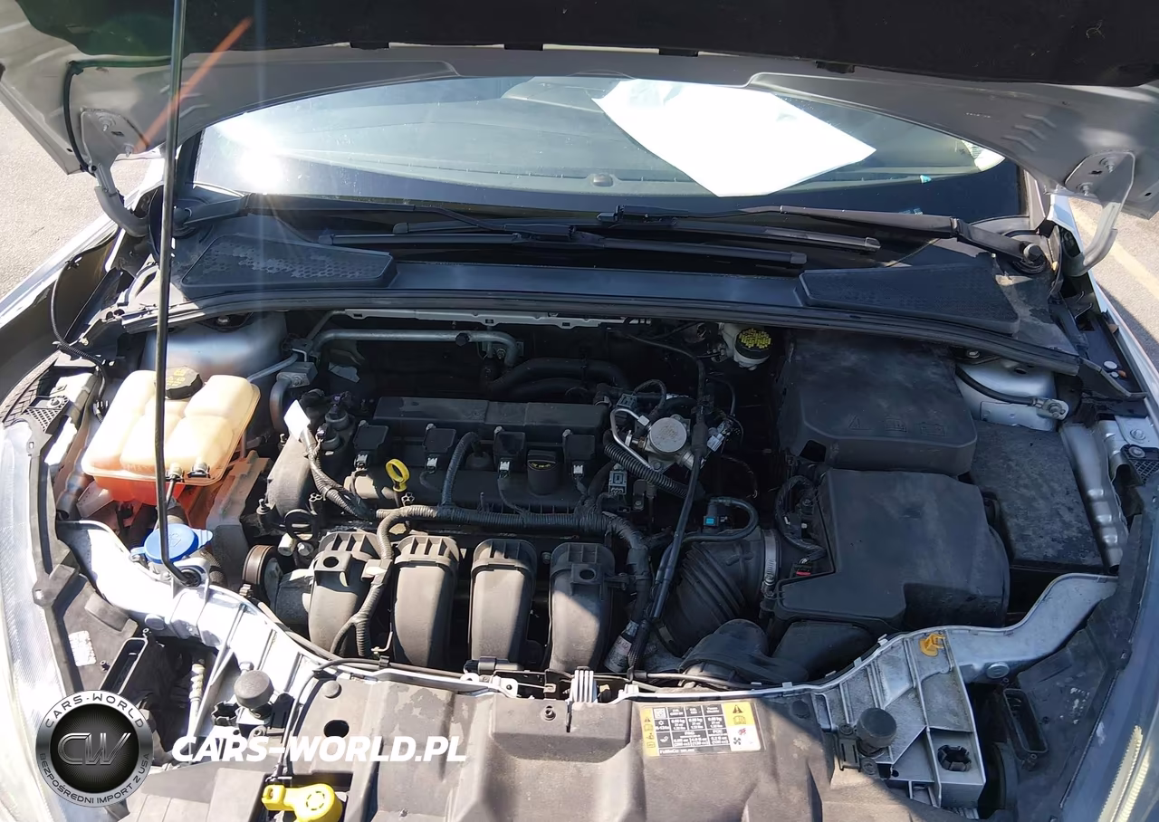 2016 Ford Focus Se VIN:1FADP3F23GL391537 - 10