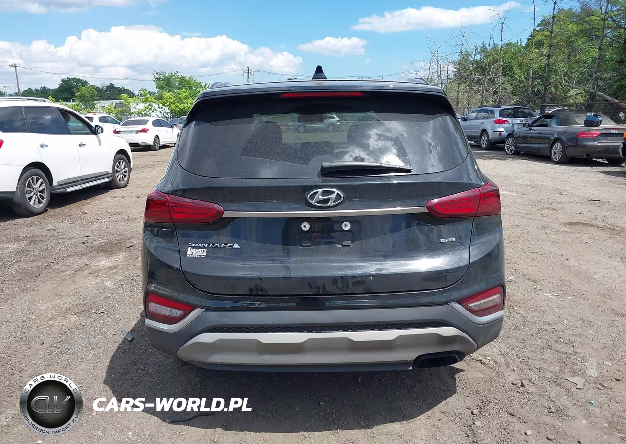 2020 Hyundai Santa Fe Sel VIN:5NMS3CADXLH174813 - 16