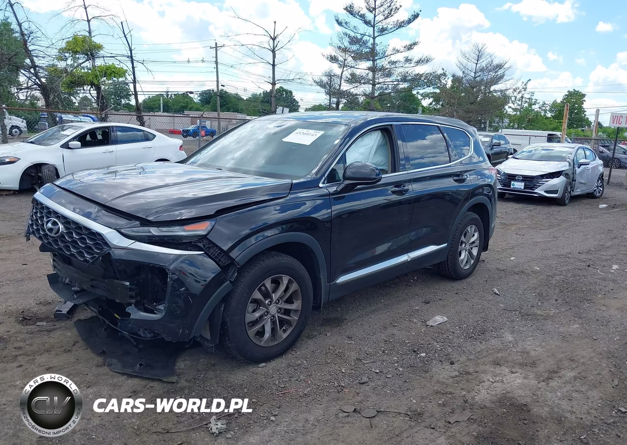 2020 Hyundai Santa Fe Sel VIN:5NMS3CADXLH174813 - 2