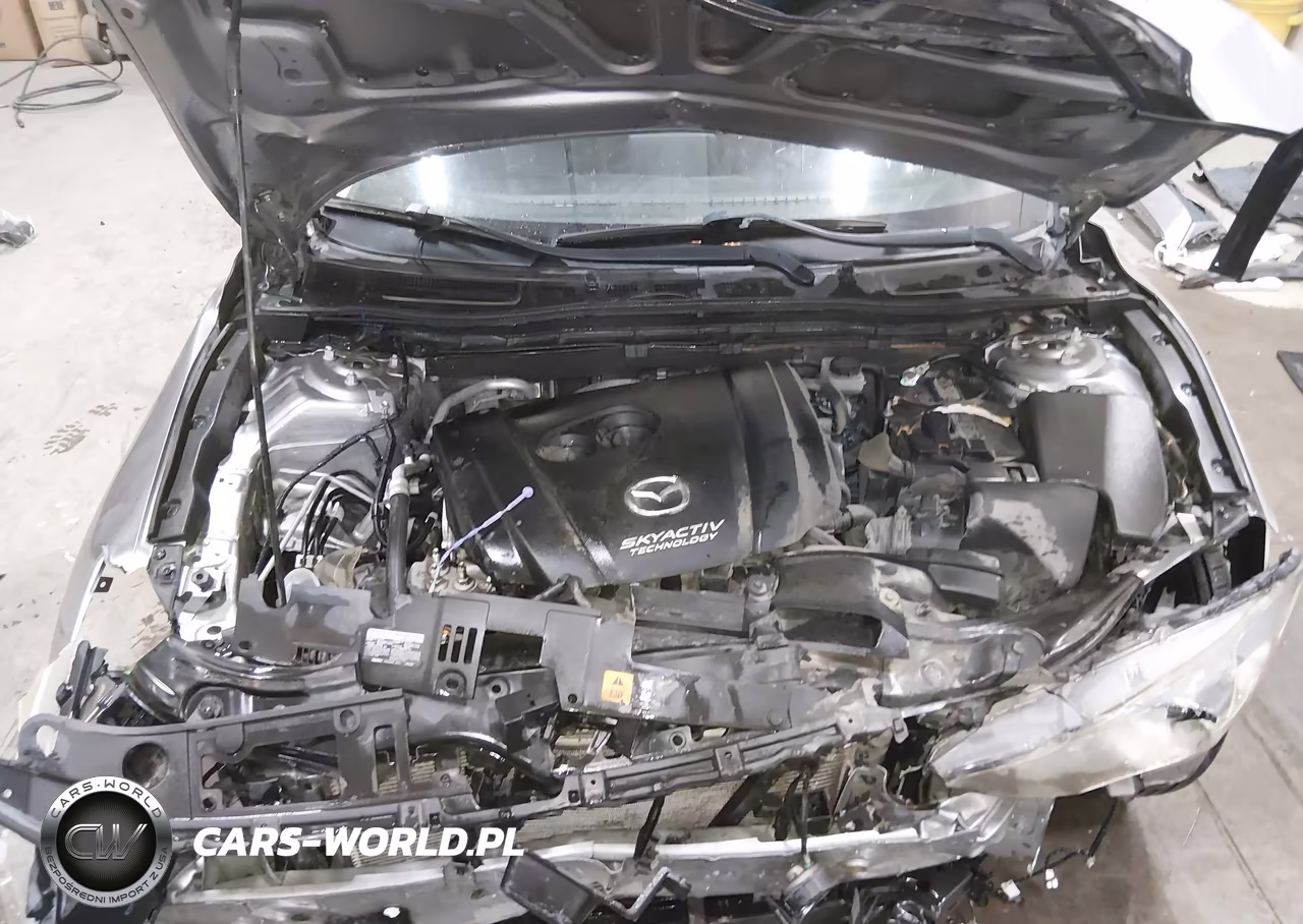 2016 Mazda Mazda3 I Touring VIN:JM1BM1L7XG1319535 - 10