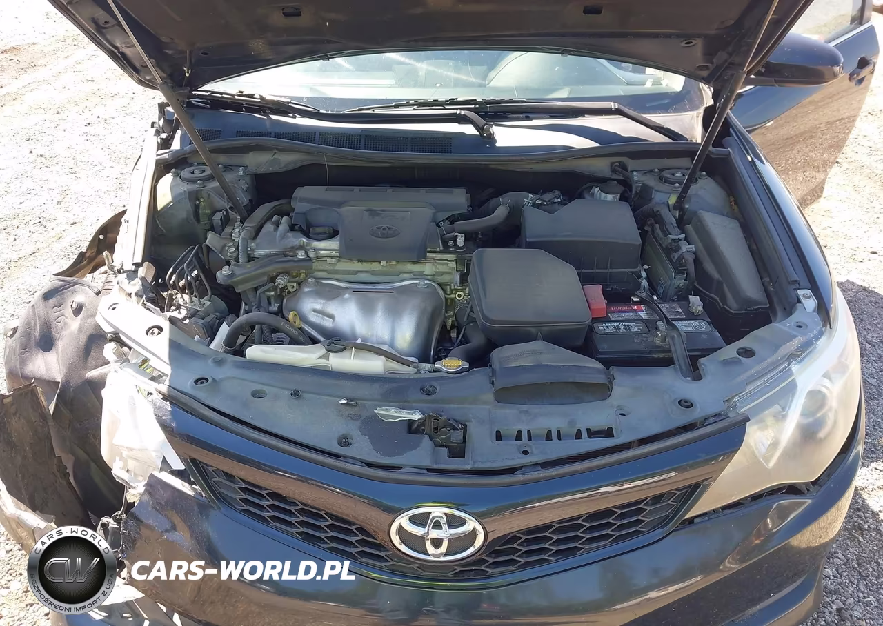 2013 Toyota Camry Se VIN:4T1BF1FK9DU293509 - 10