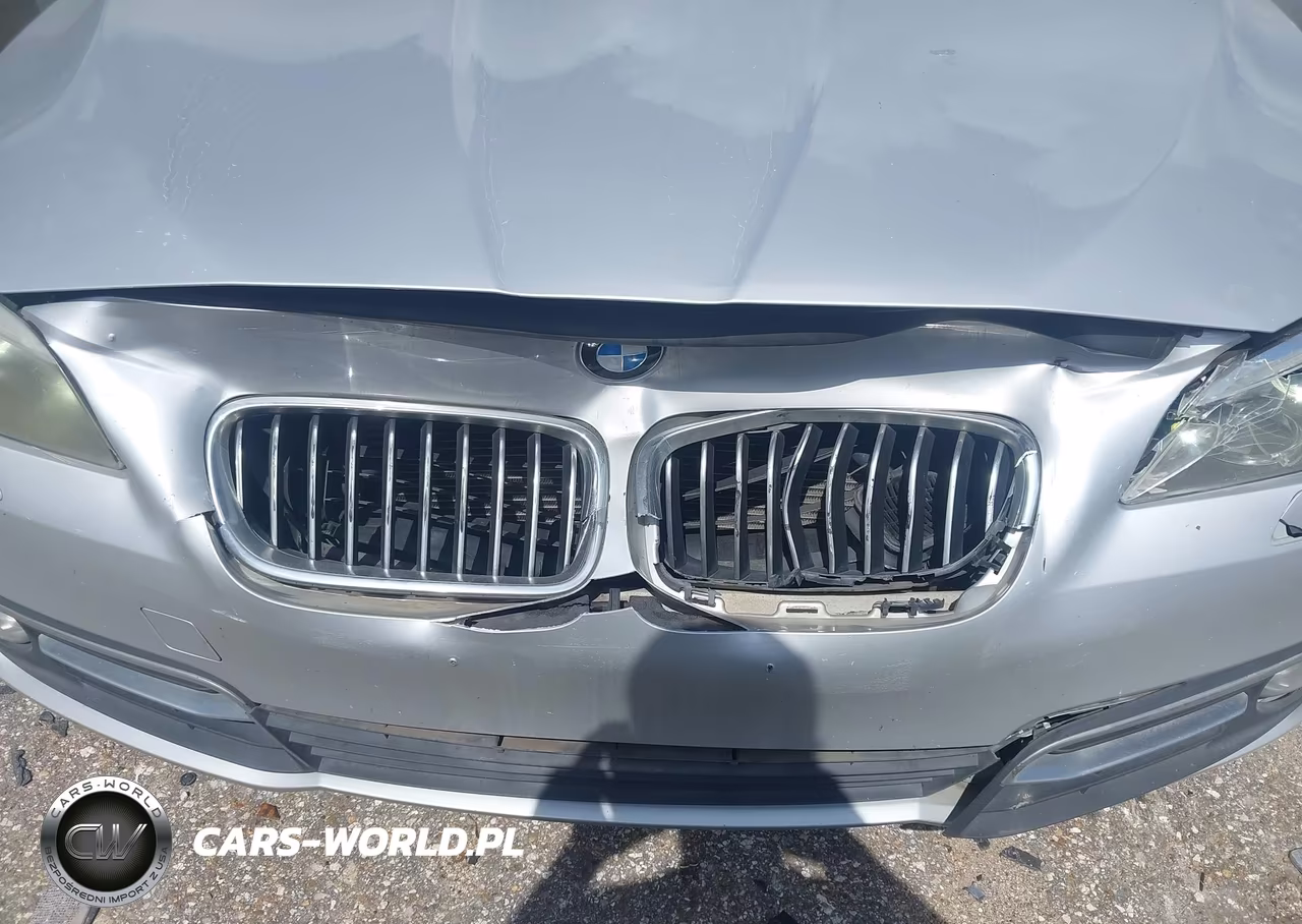 2014 BMW 535D VIN:WBAXA5C54ED691045 - 6