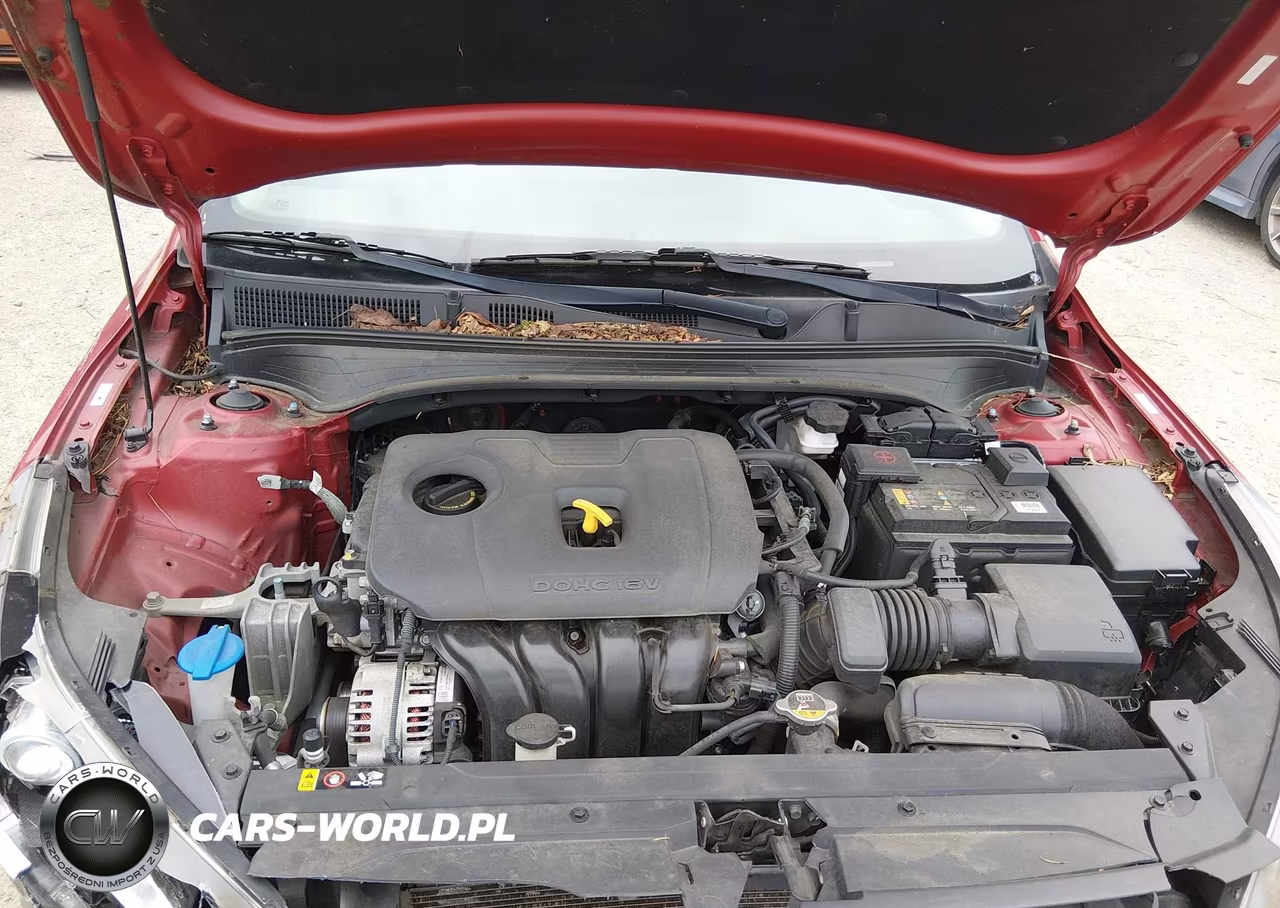 2019 Kia Forte Lxs VIN:3KPF24AD5KE024947 - 10