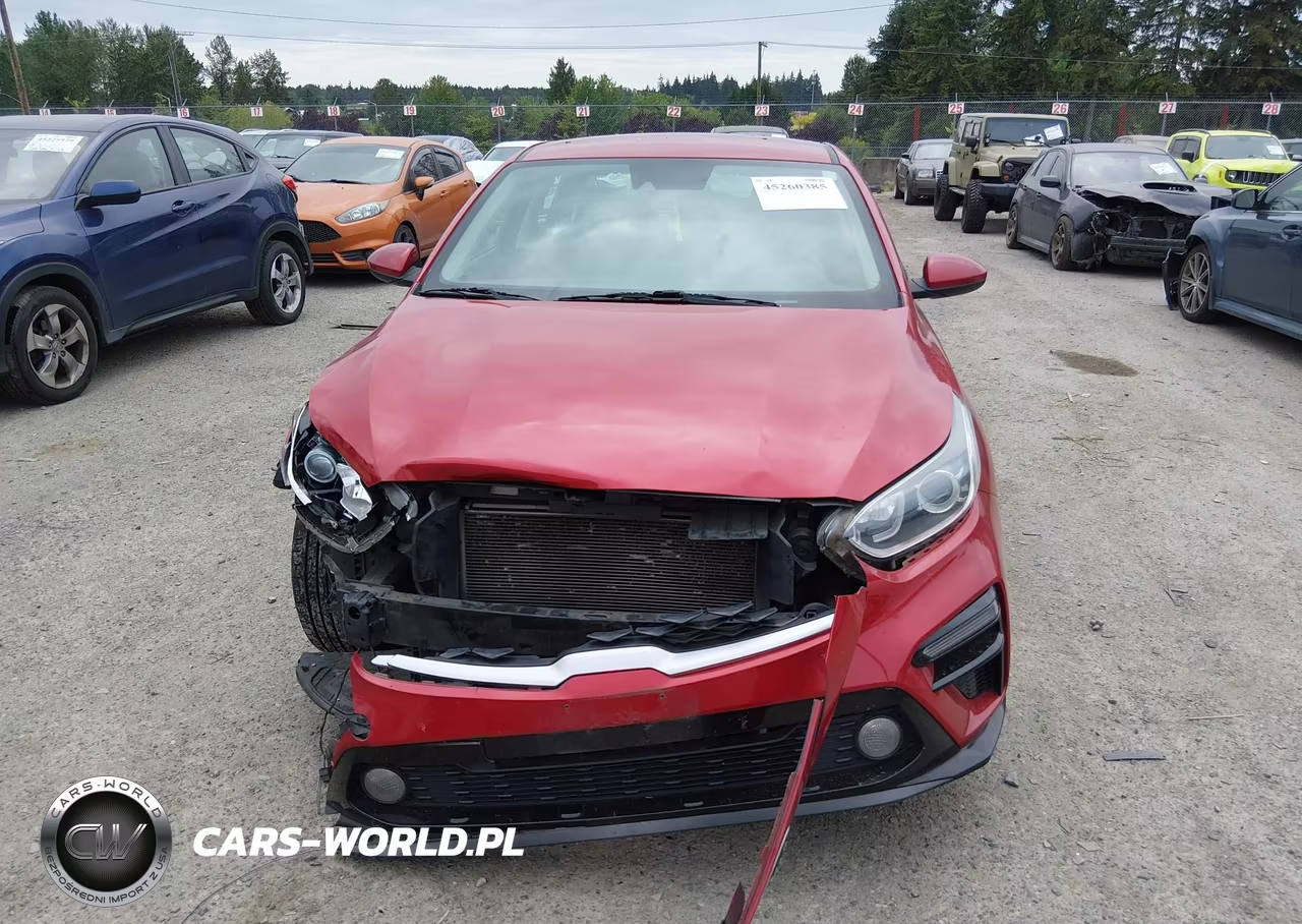 2019 Kia Forte Lxs VIN:3KPF24AD5KE024947 - 12