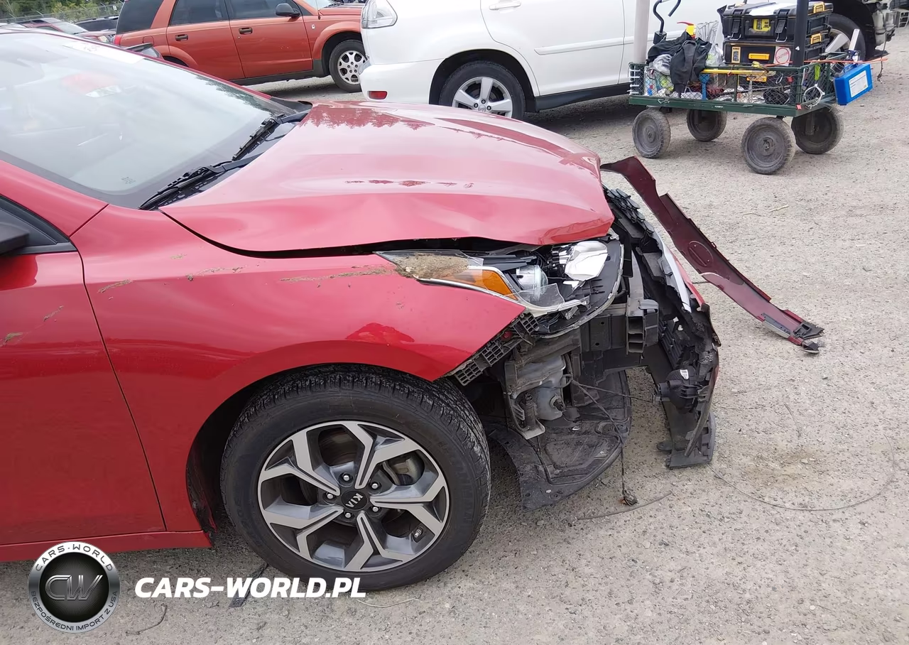 2019 Kia Forte Lxs VIN:3KPF24AD5KE024947 - 17