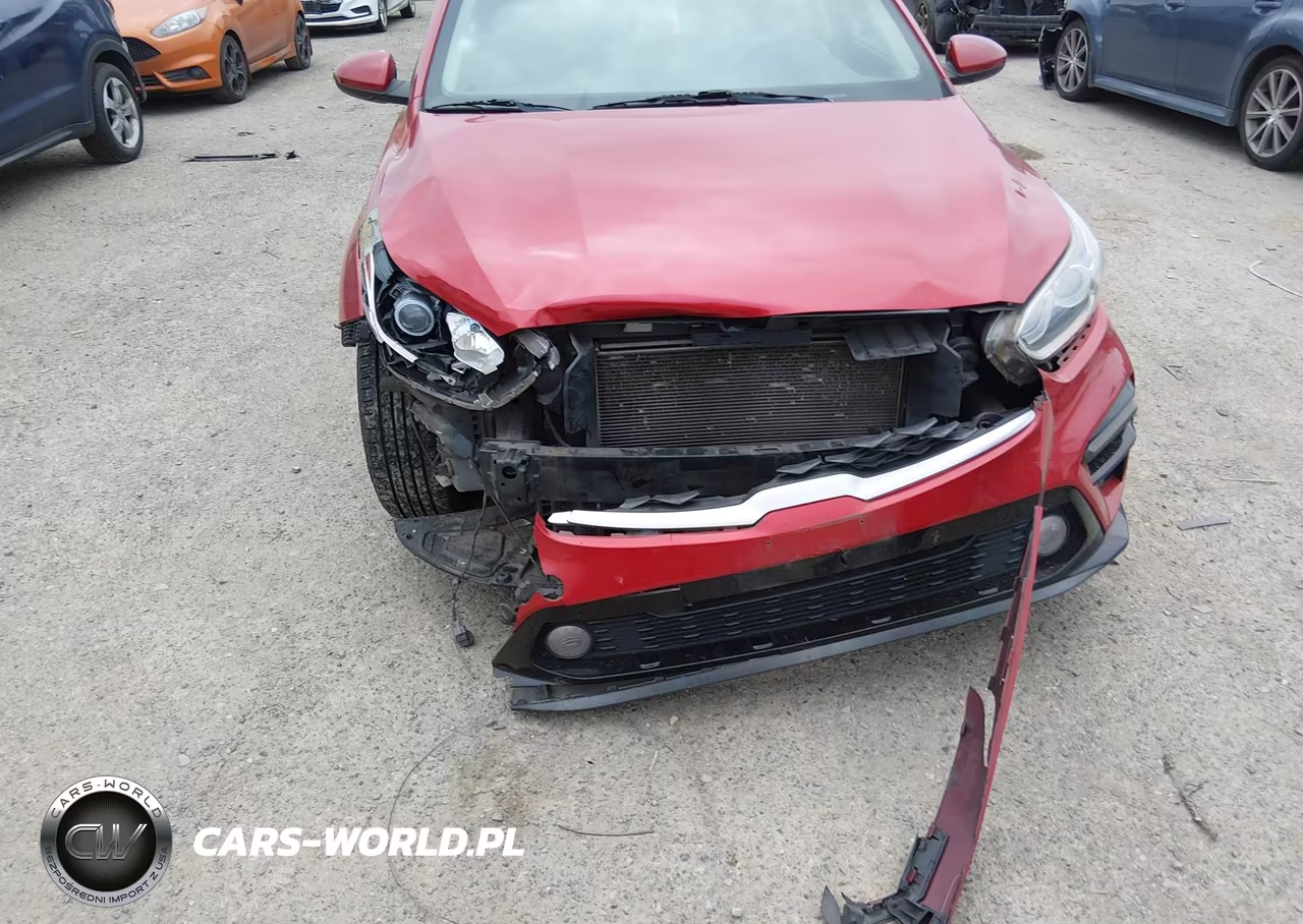 2019 Kia Forte Lxs VIN:3KPF24AD5KE024947 - 19
