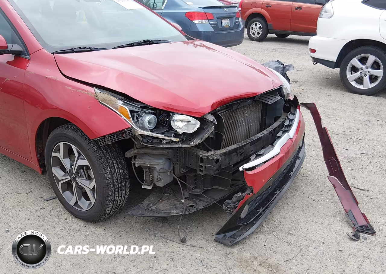 2019 Kia Forte Lxs VIN:3KPF24AD5KE024947 - 6