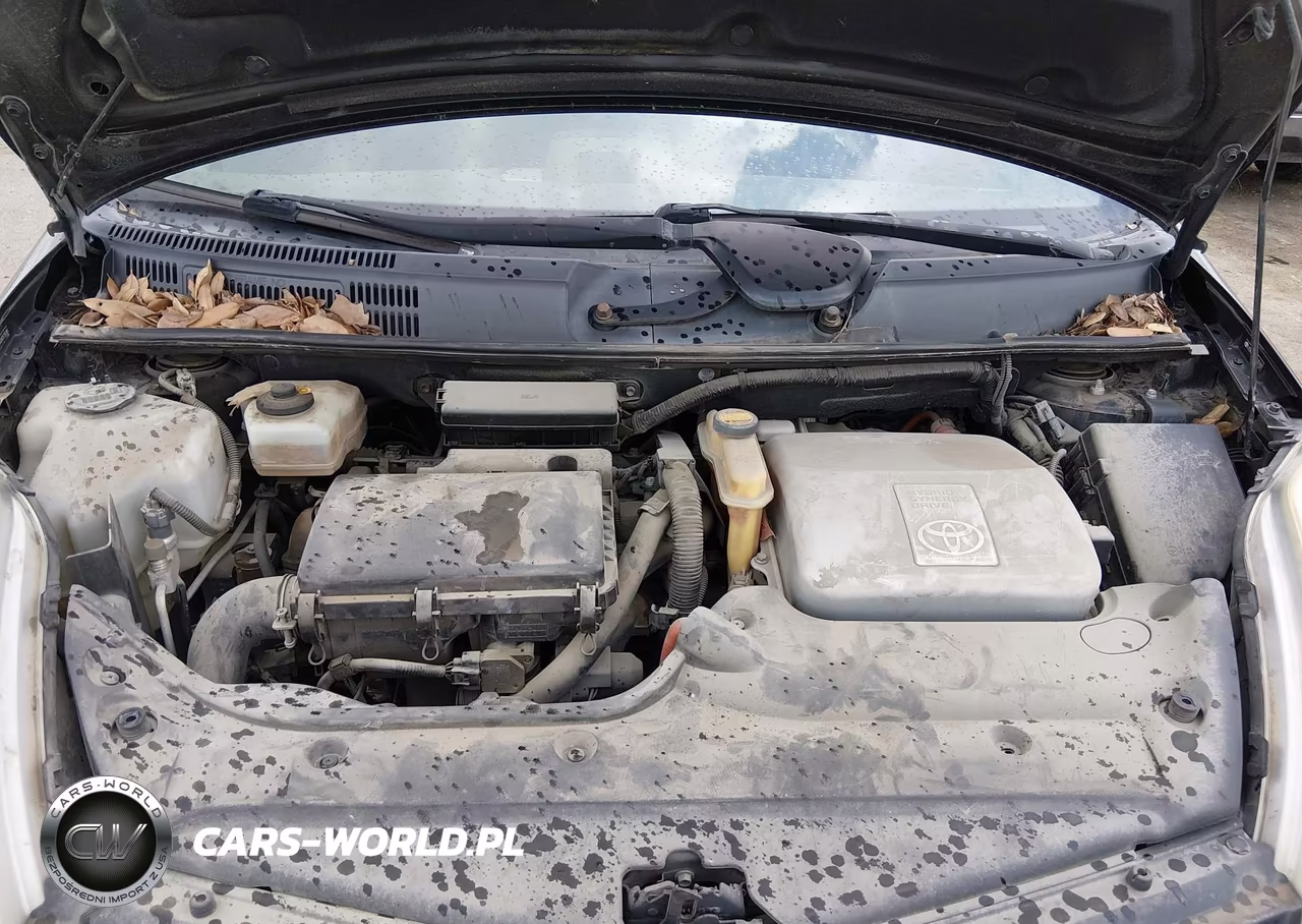 2006 Toyota Prius VIN:JTDKB20U263135781 - 10