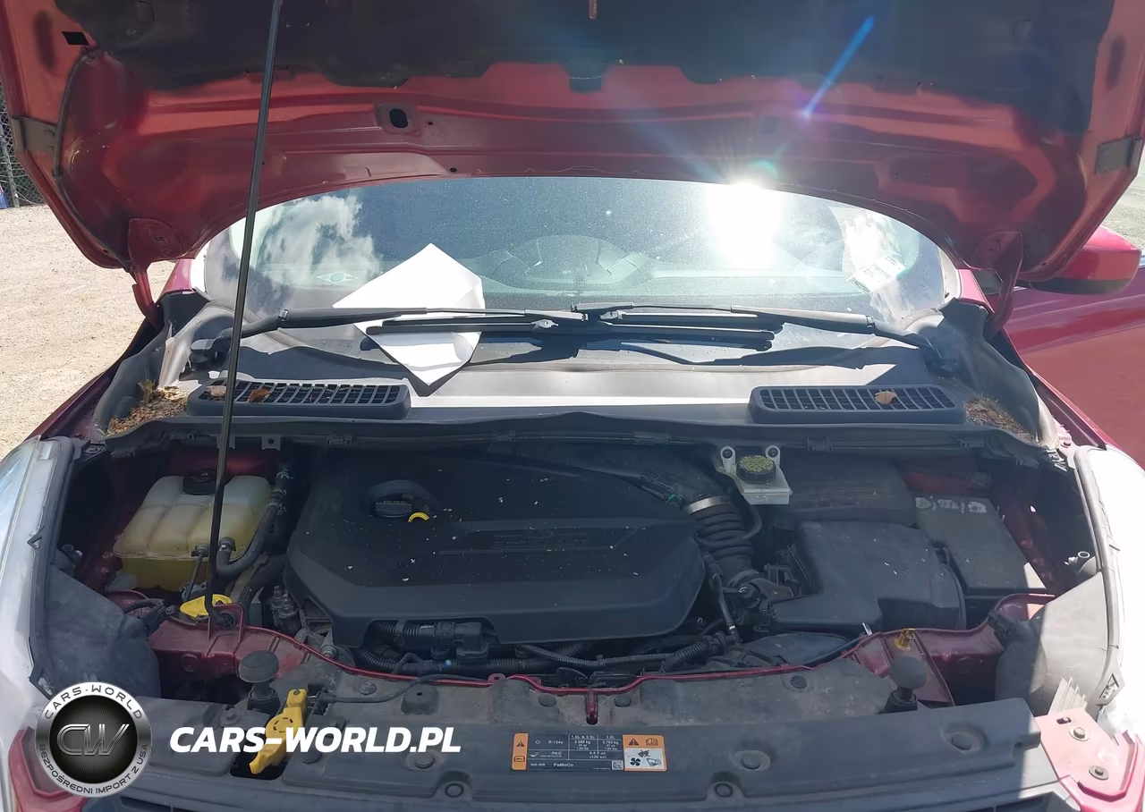 2014 Ford Escape Se VIN:1FMCU0GXXEUA99085 - 10