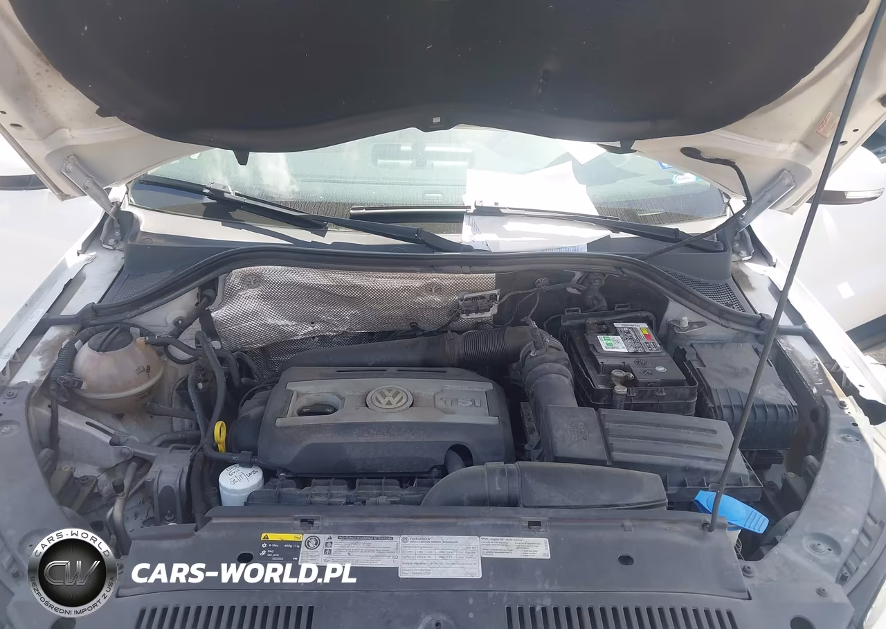 2014 Volkswagen Tiguan Se VIN:WVGAV3AX1EW608922 - 10