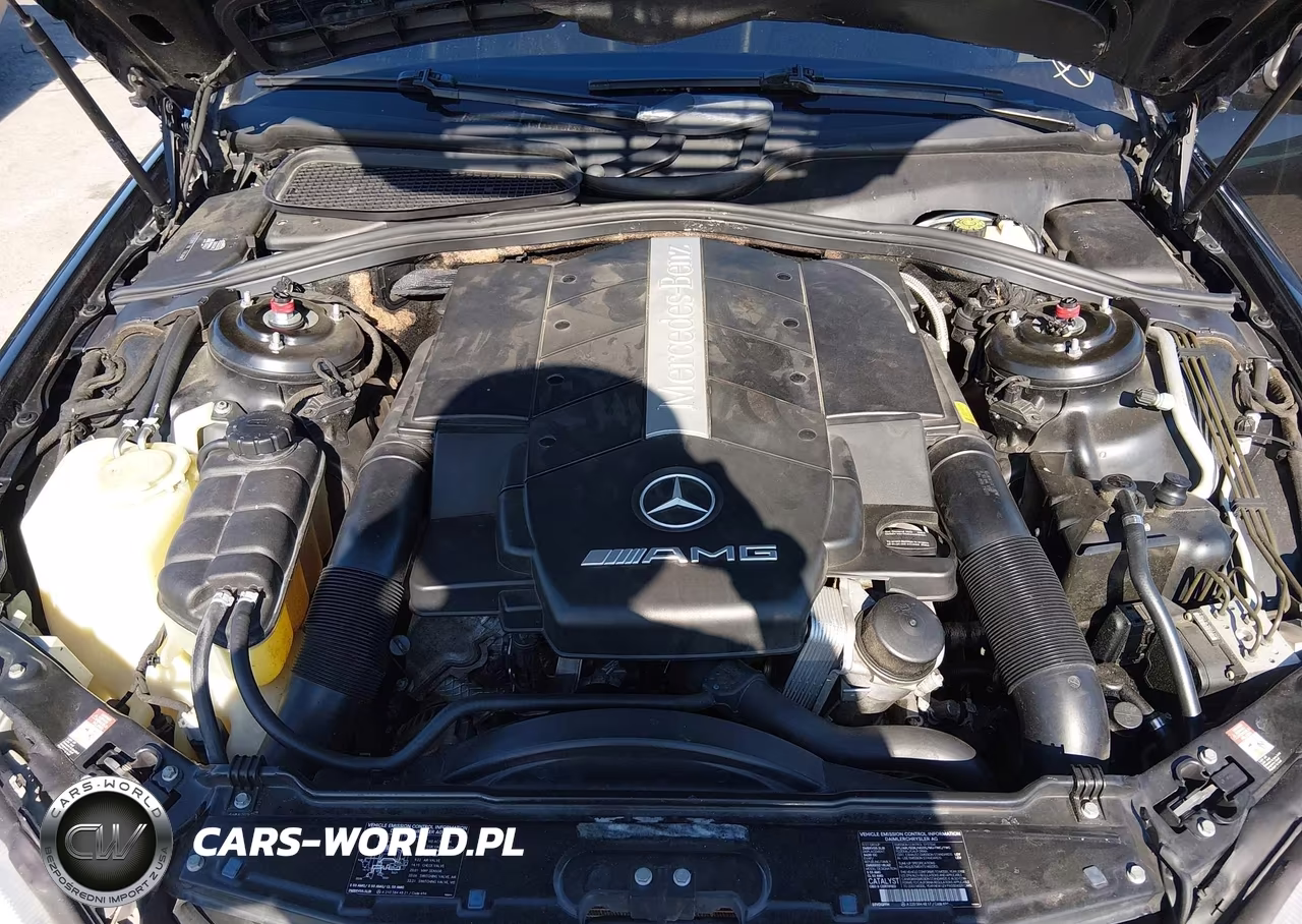 2002 Mercedes-Benz S 55 Amg VIN:WDBNG73J02A254205 - 10