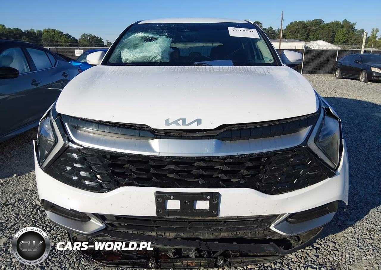 2023 Kia Sportage Ex VIN:5XYK33AF0PG135827 - 12