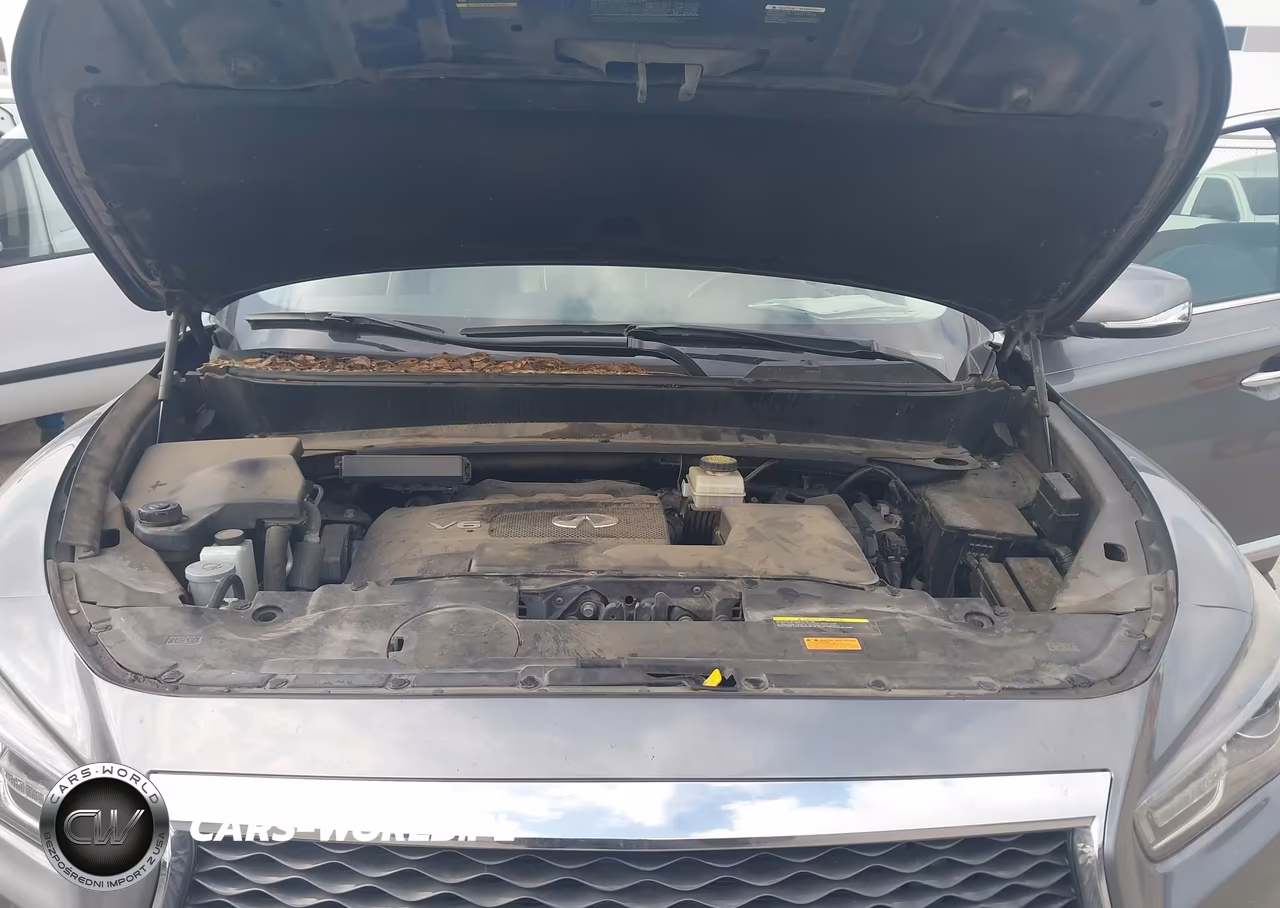 2019 Infiniti Qx60 Pure VIN:5N1DL0MM7KC553702 - 10