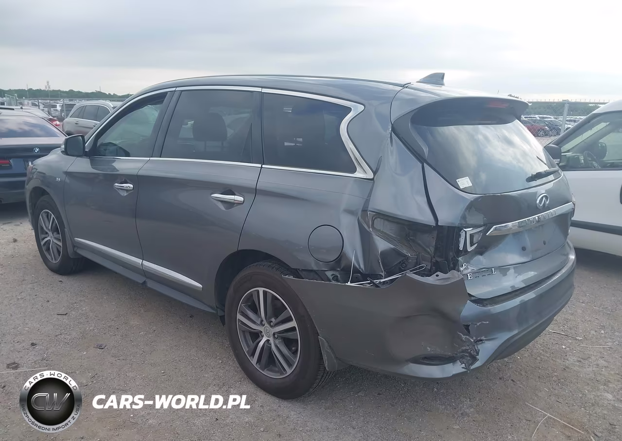 2019 Infiniti Qx60 Pure VIN:5N1DL0MM7KC553702 - 3