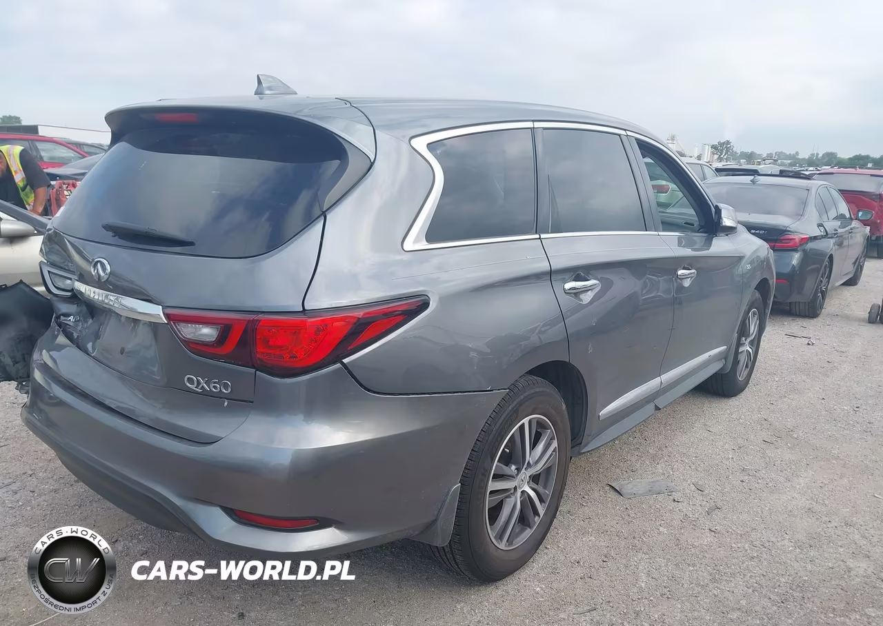 2019 Infiniti Qx60 Pure VIN:5N1DL0MM7KC553702 - 4