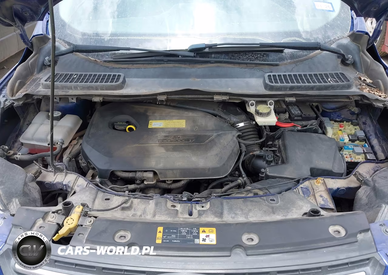 2013 Ford Escape Se VIN:1FMCU0GX5DUC54169 - 10