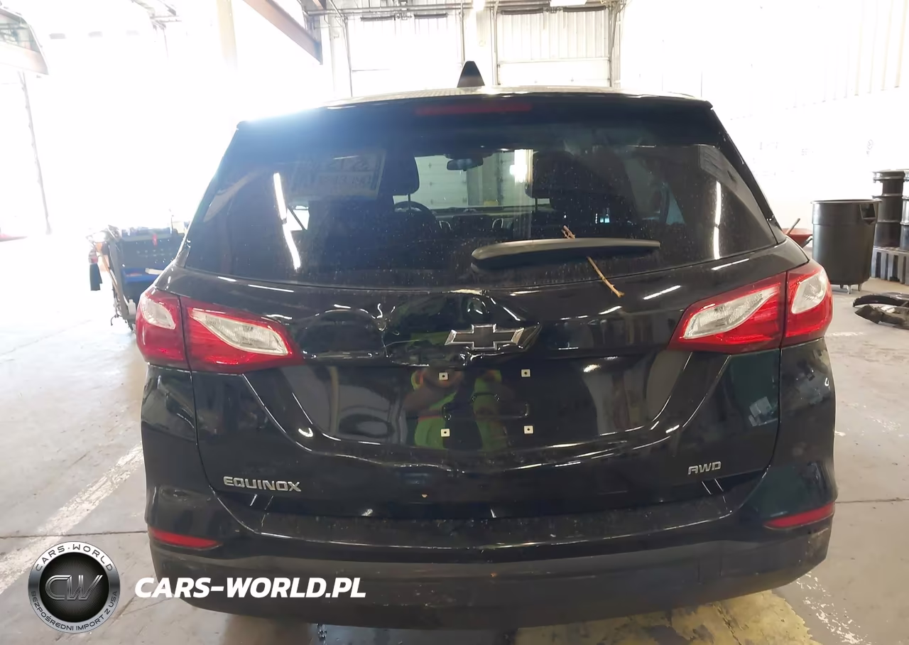 2019 Chevrolet Equinox Ls VIN:3GNAXSEV1KL157629 - 17
