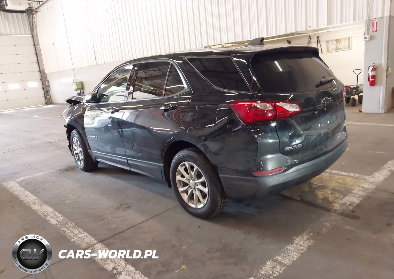 2019 Chevrolet Equinox Ls VIN:3GNAXSEV1KL157629 - 3