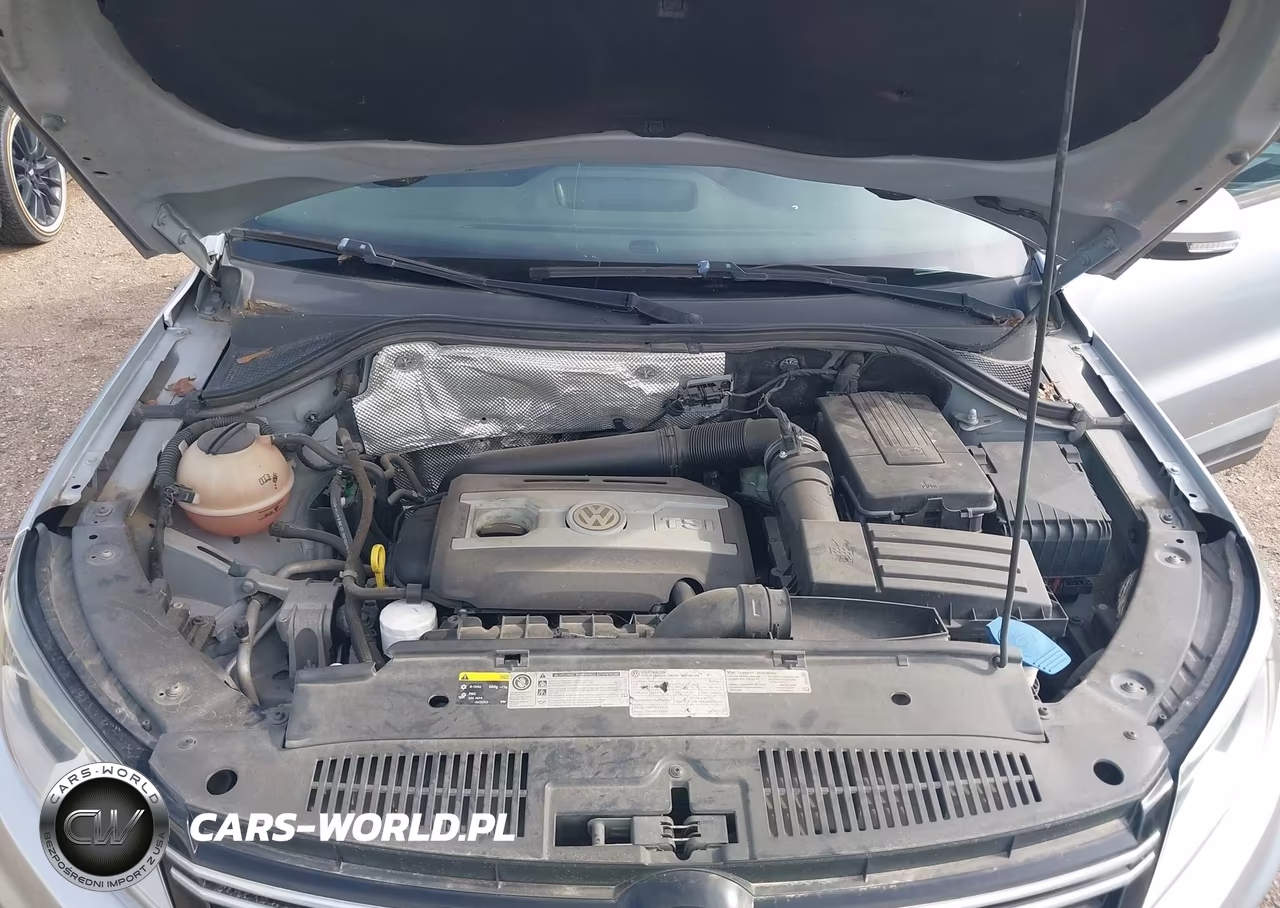 2015 Volkswagen Tiguan S VIN:WVGAV7AX2FW562560 - 10