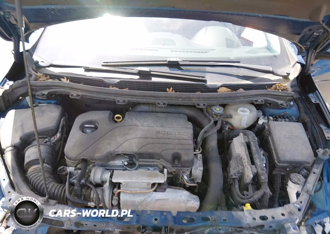 2019 Chevrolet Cruze Lt VIN:1G1BE5SM7K7119593 - 10