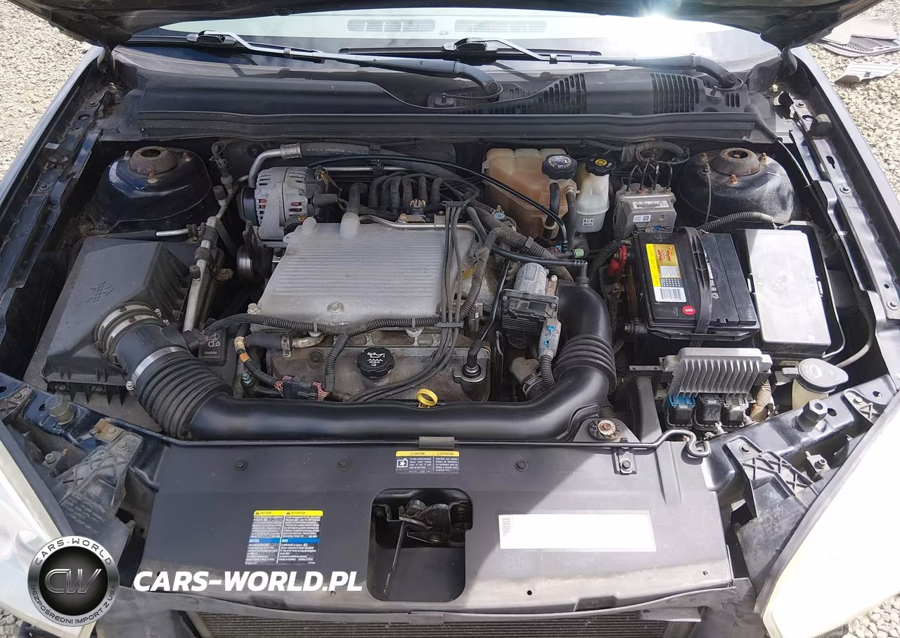 2004 Chevrolet Malibu Ls VIN:1G1ZT52864F206949 - 10
