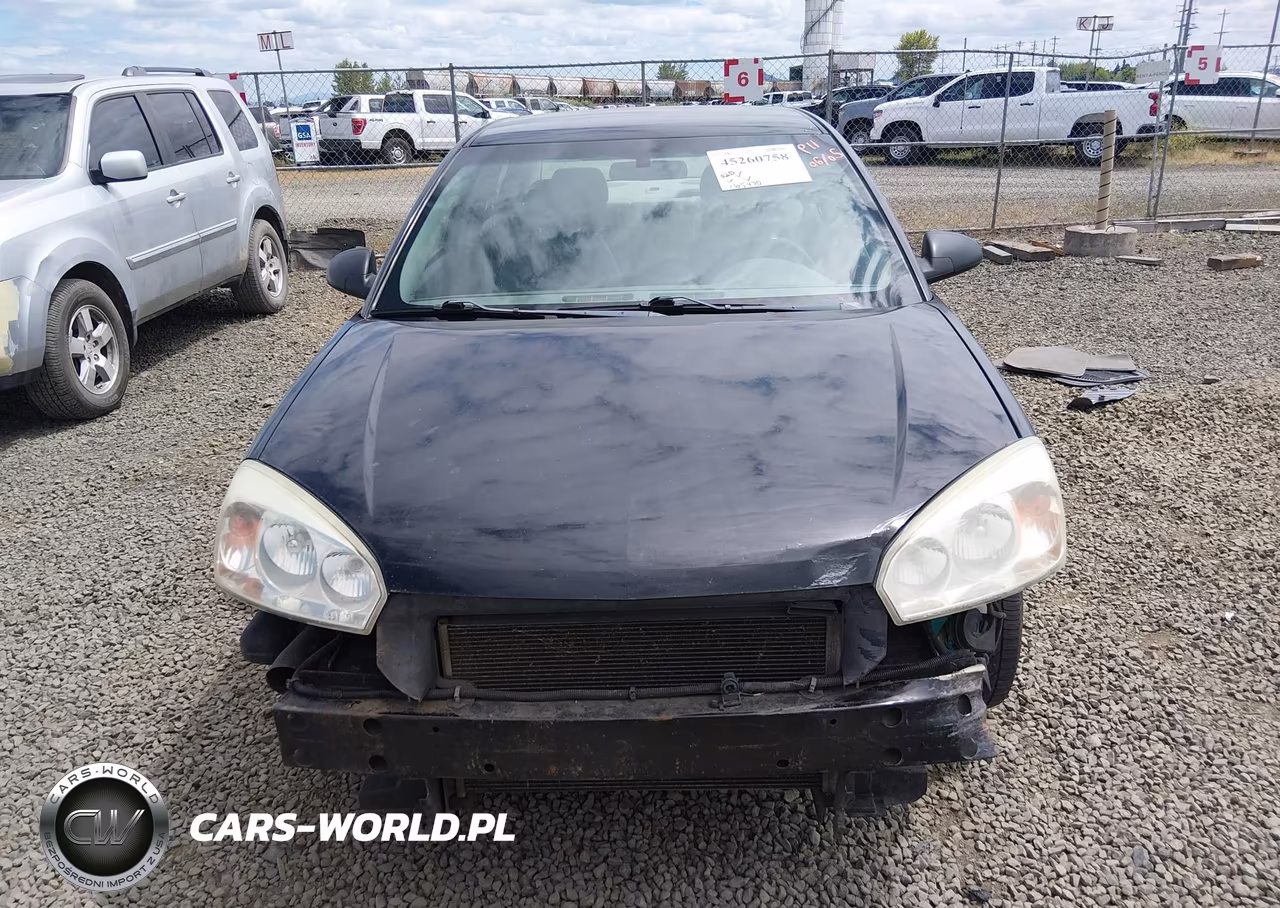 2004 Chevrolet Malibu Ls VIN:1G1ZT52864F206949 - 12