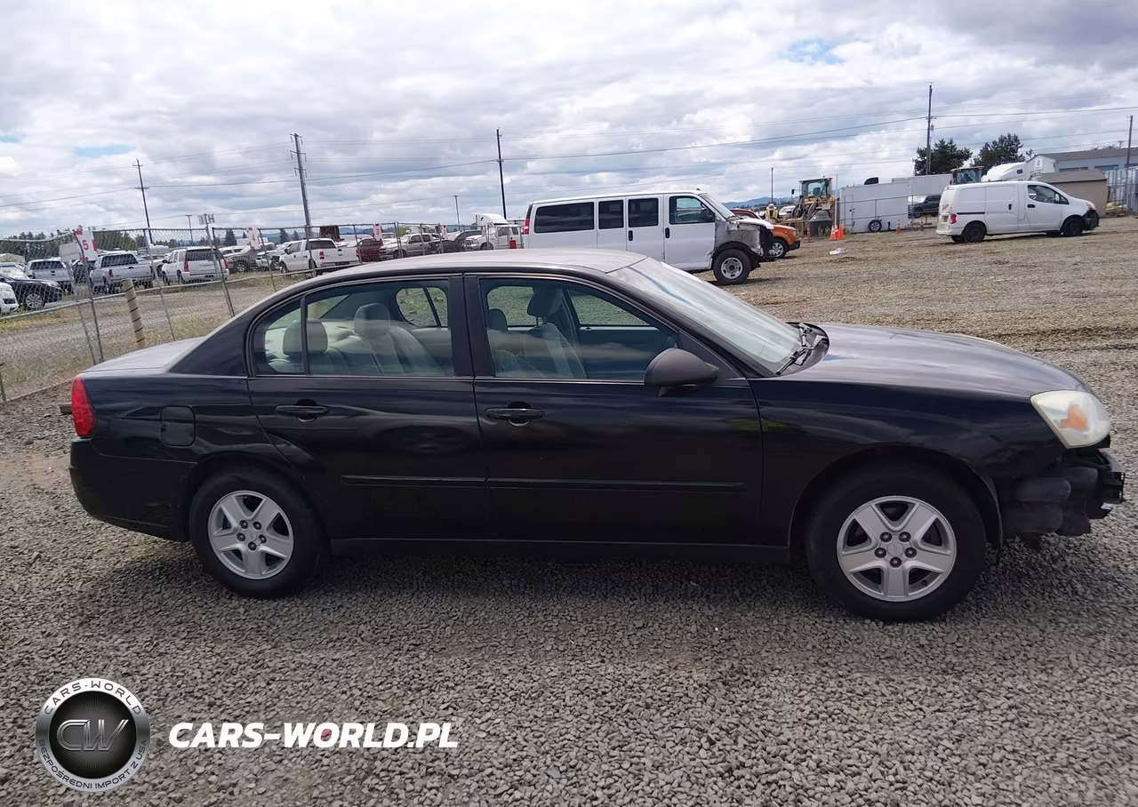2004 Chevrolet Malibu Ls VIN:1G1ZT52864F206949 - 13