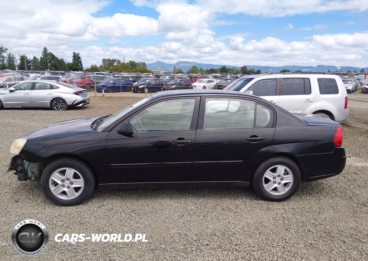 2004 Chevrolet Malibu Ls VIN:1G1ZT52864F206949 - 14