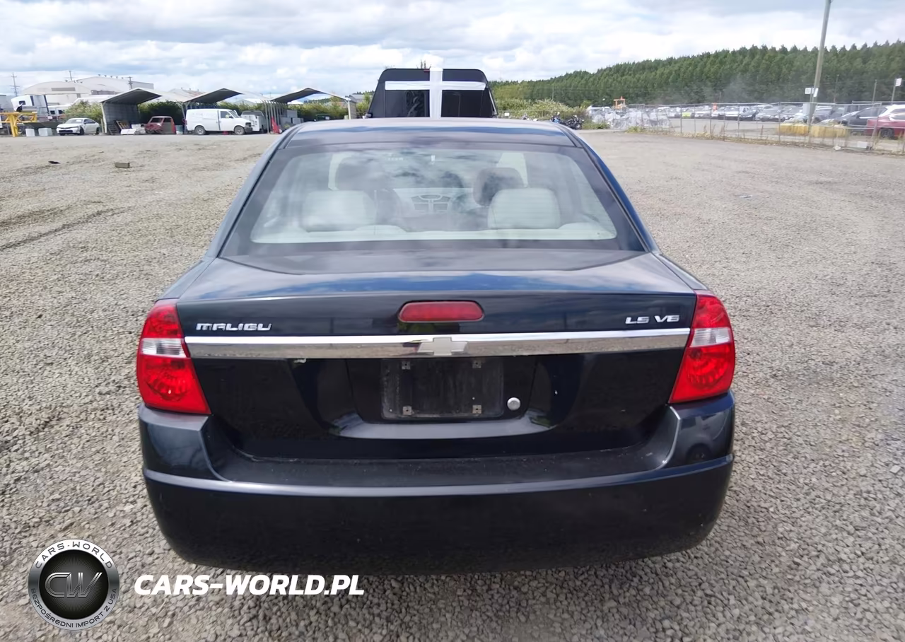 2004 Chevrolet Malibu Ls VIN:1G1ZT52864F206949 - 16