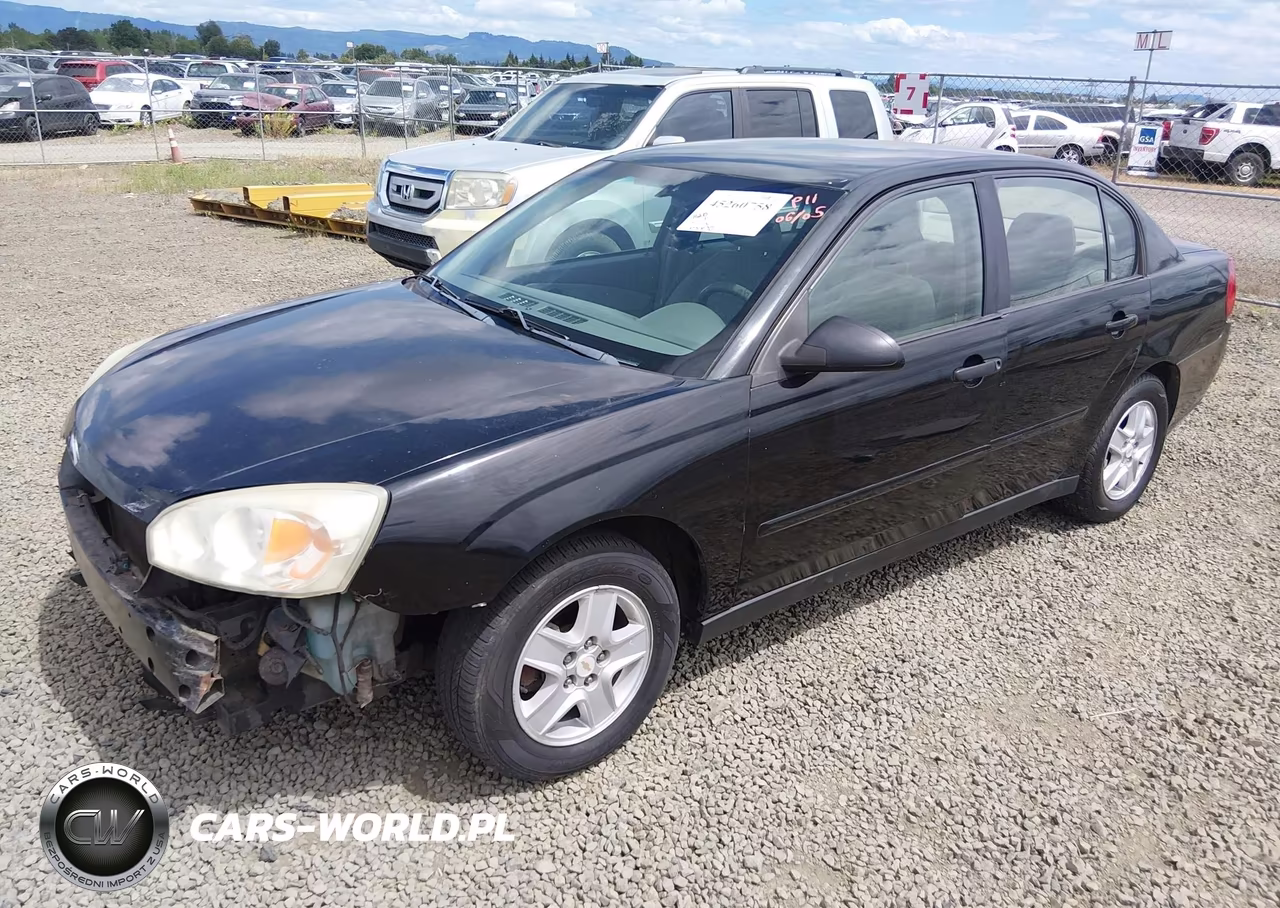 2004 Chevrolet Malibu Ls VIN:1G1ZT52864F206949 - 2