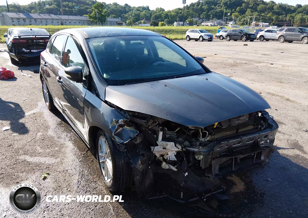 2016 Ford Focus Se VIN:1FADP3K25GL202943 - 18