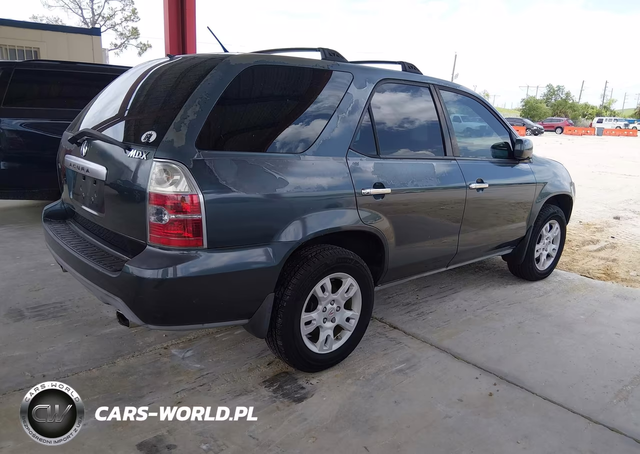 2004 Acura Mdx VIN:2HNYD18664H550059 - 4