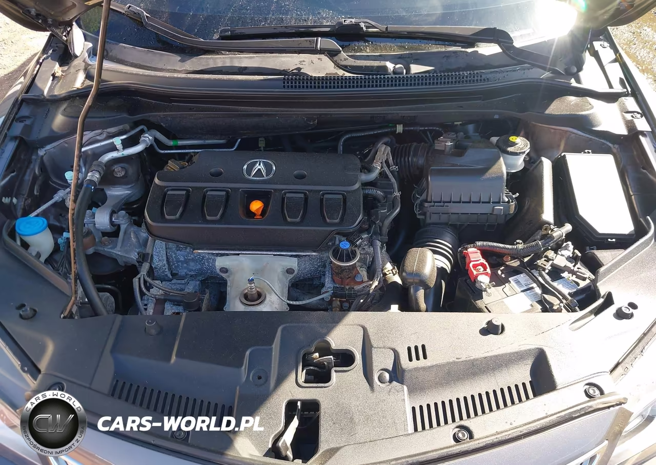2013 Acura Ilx 2.0L VIN:19VDE1F74DE008735 - 10