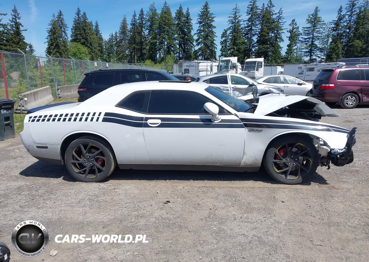 2014 Dodge Challenger R-T Classic VIN:2C3CDYBT0EH298886 - 14