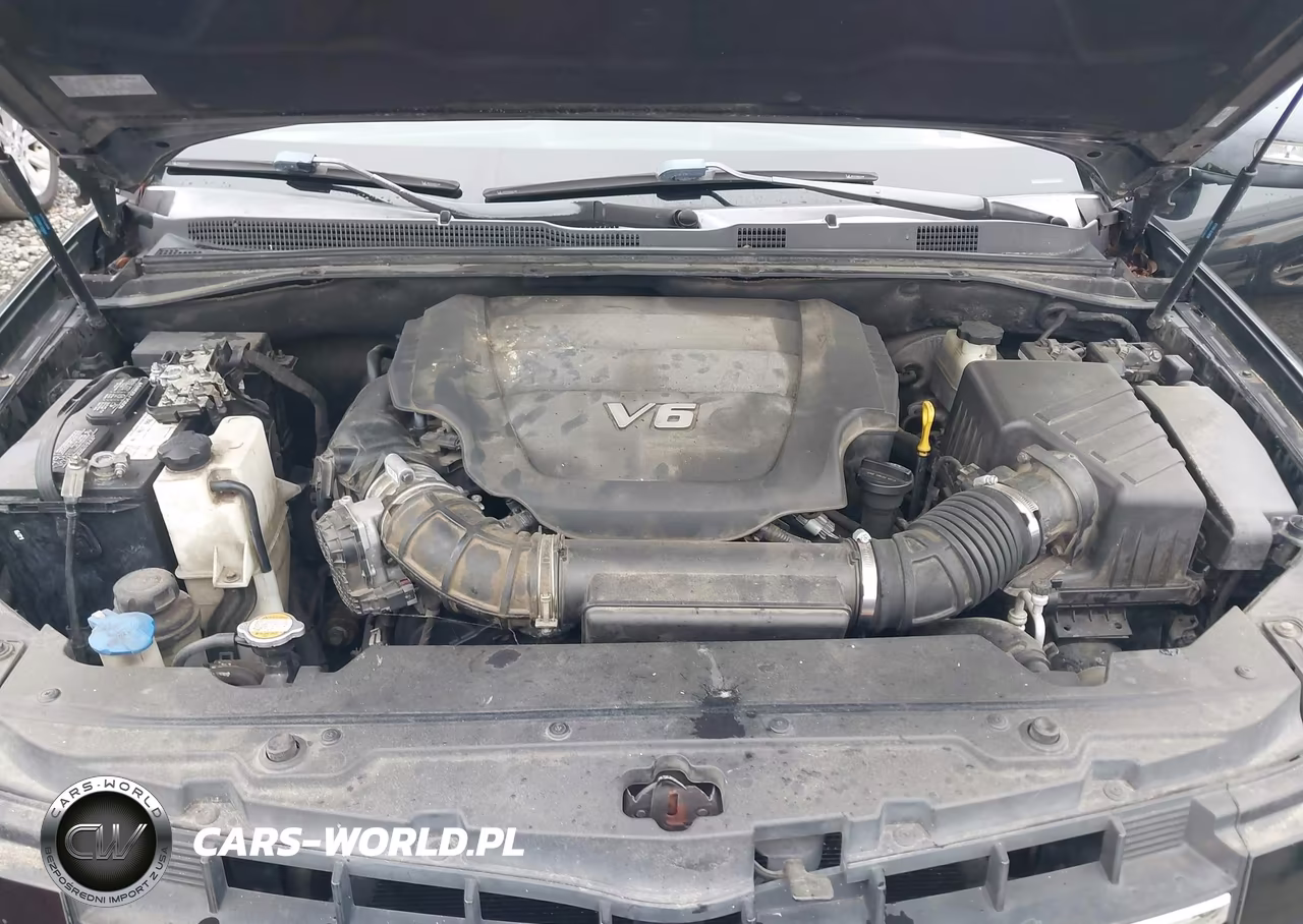 2009 Kia Borrego Ex V6 VIN:KNDJJ741795021764 - 10