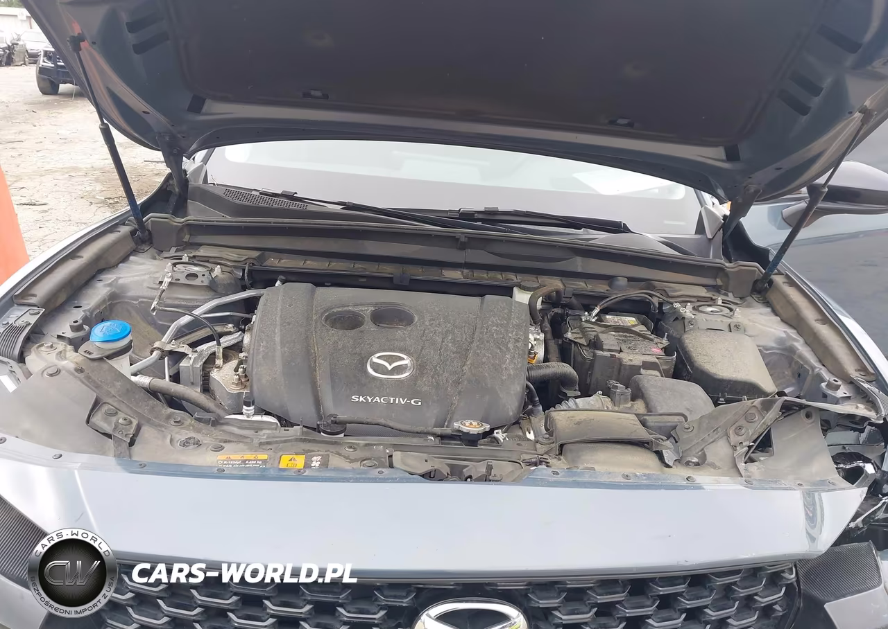 2023 Mazda Cx-50 2.5 S Premium Plus VIN:7MMVABEM3PN109396 - 10