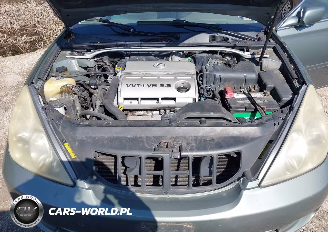 2006 Lexus Es 330 VIN:JTHBA30G565160440 - 10