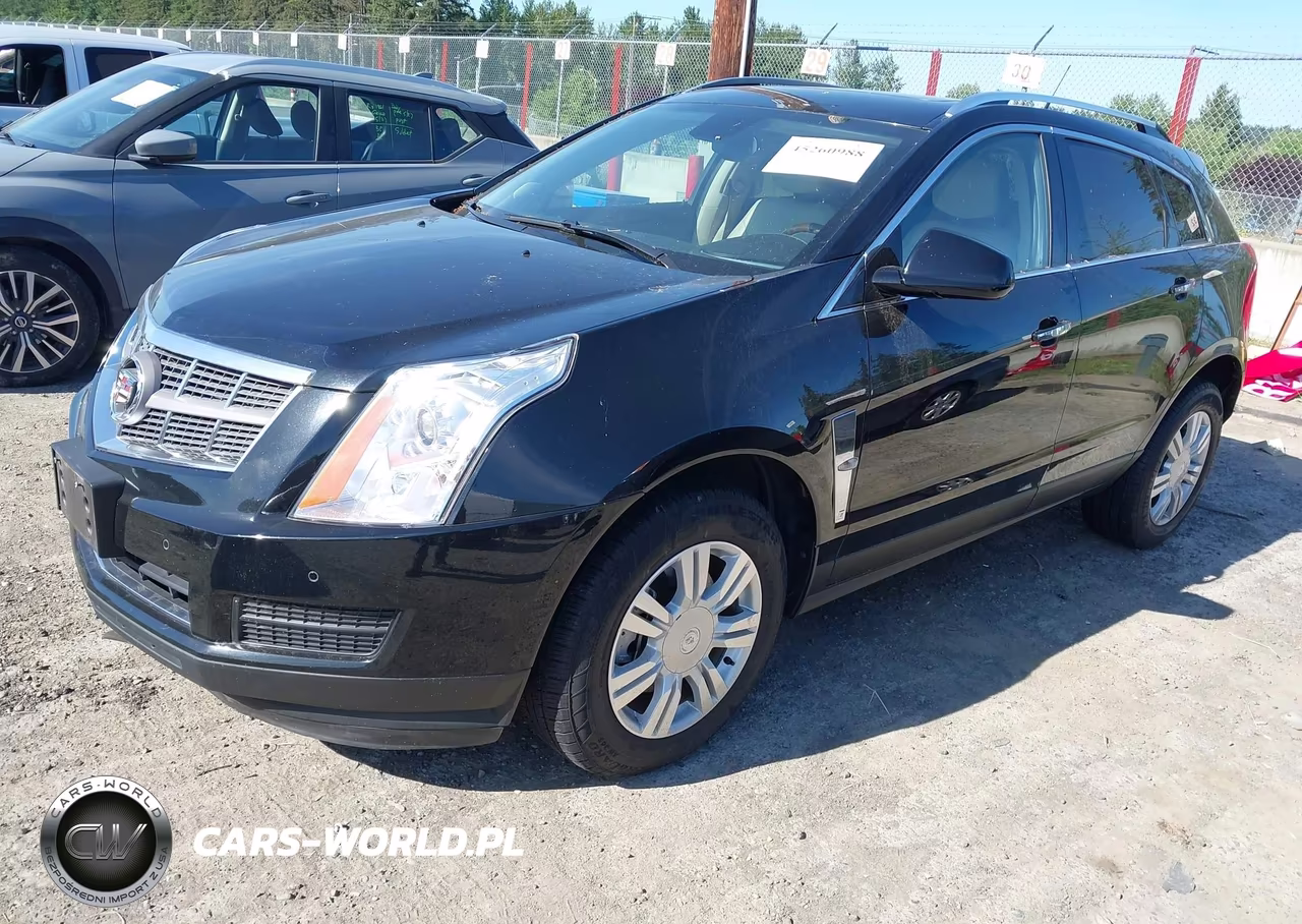 2010 Cadillac Srx Luxury Collection VIN:3GYFNAEY8AS629462 - 2