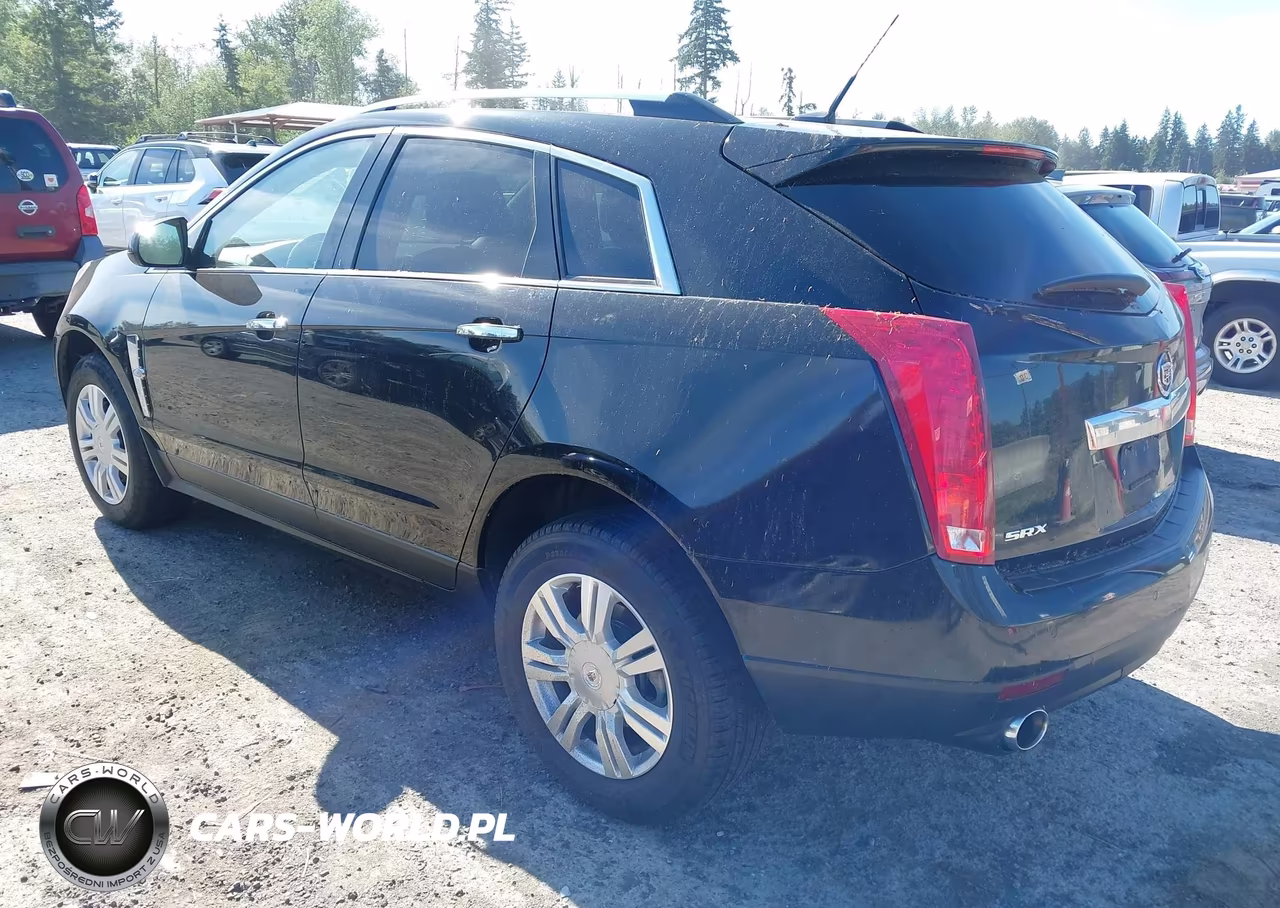 2010 Cadillac Srx Luxury Collection VIN:3GYFNAEY8AS629462 - 3