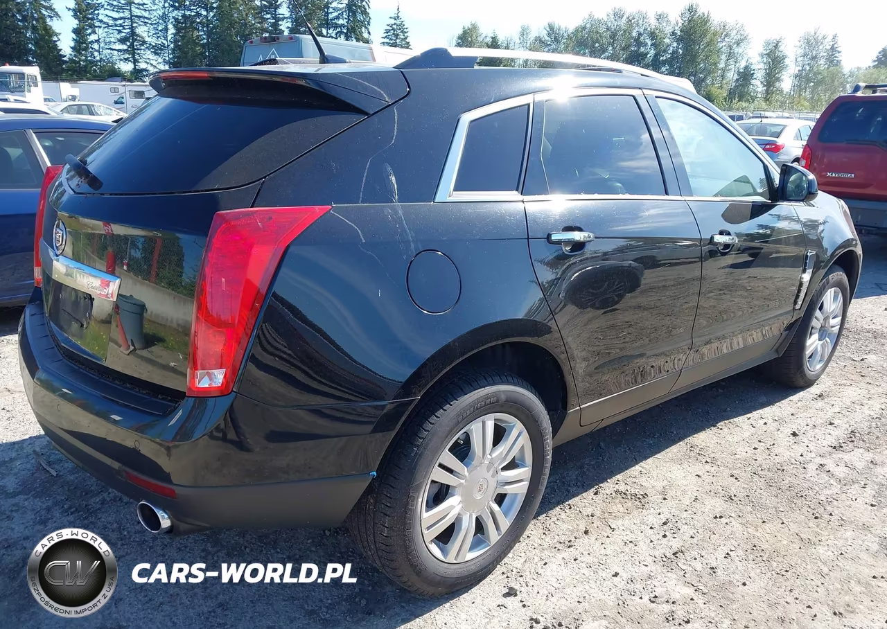2010 Cadillac Srx Luxury Collection VIN:3GYFNAEY8AS629462 - 4