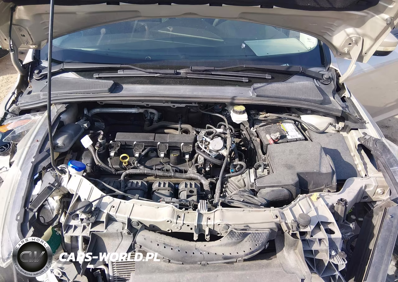 FORD FOCUS SEL VIN:1FADP3H21HL223152 - 10