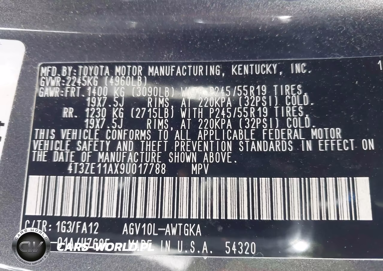 2009 Toyota Venza VIN:4T3ZE11AX9U017788 - 9