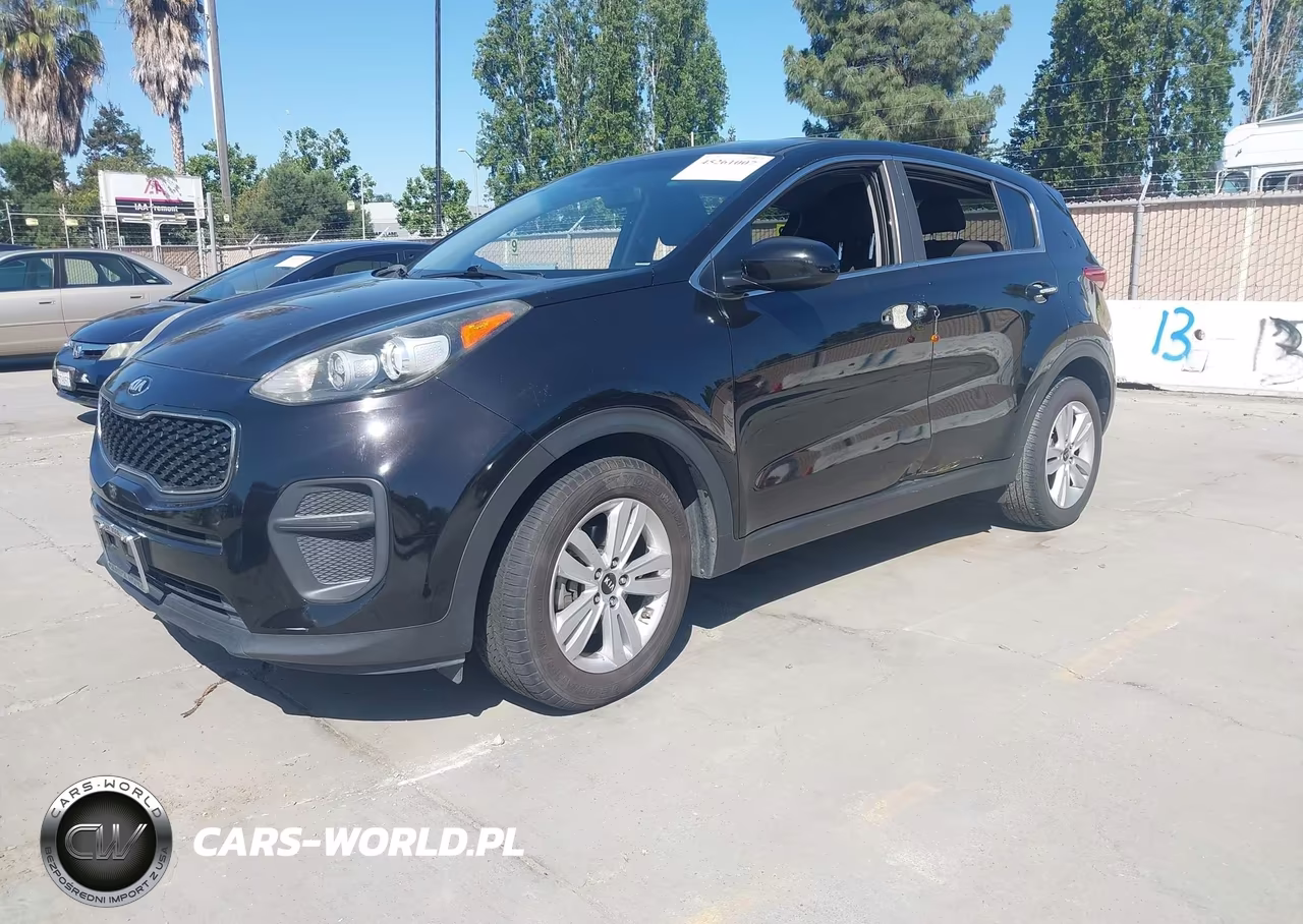 2017 Kia Sportage Lx VIN:KNDPM3AC8H7213262 - 2
