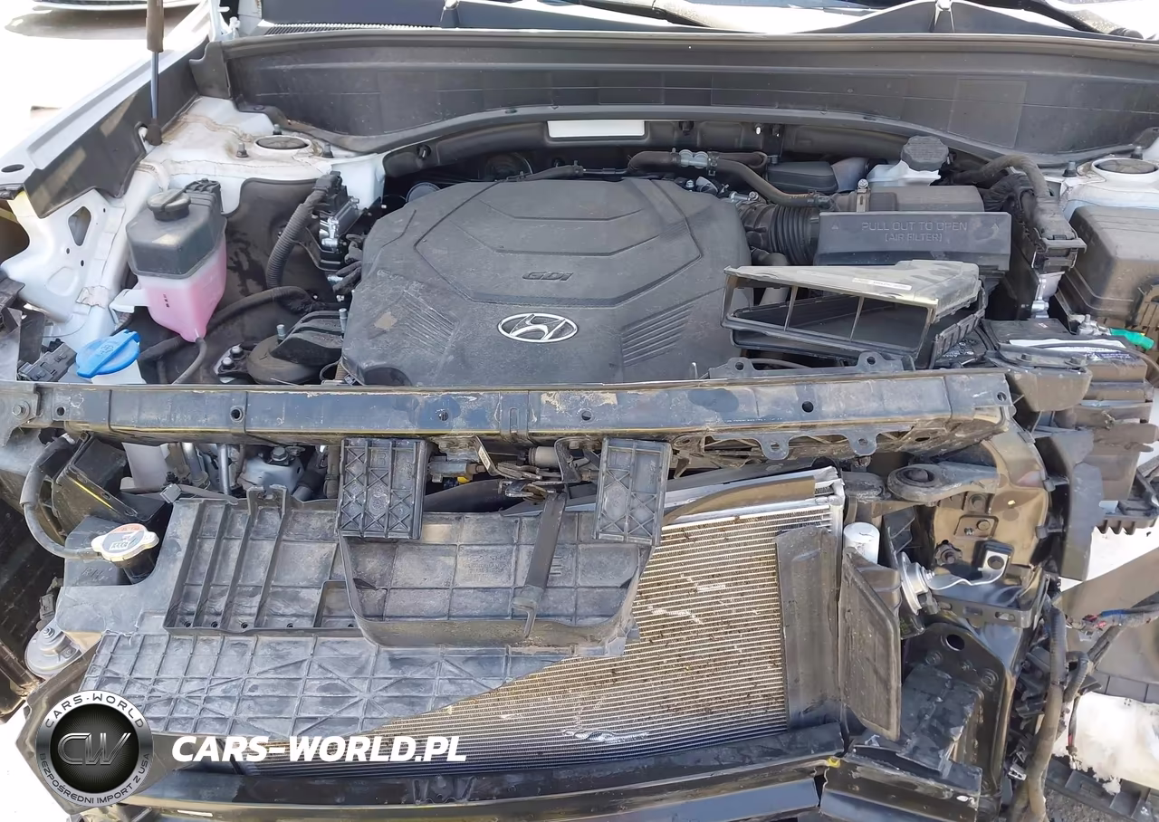 2024 Hyundai Palisade Xrt VIN:KM8R34GE8RU767619 - 10
