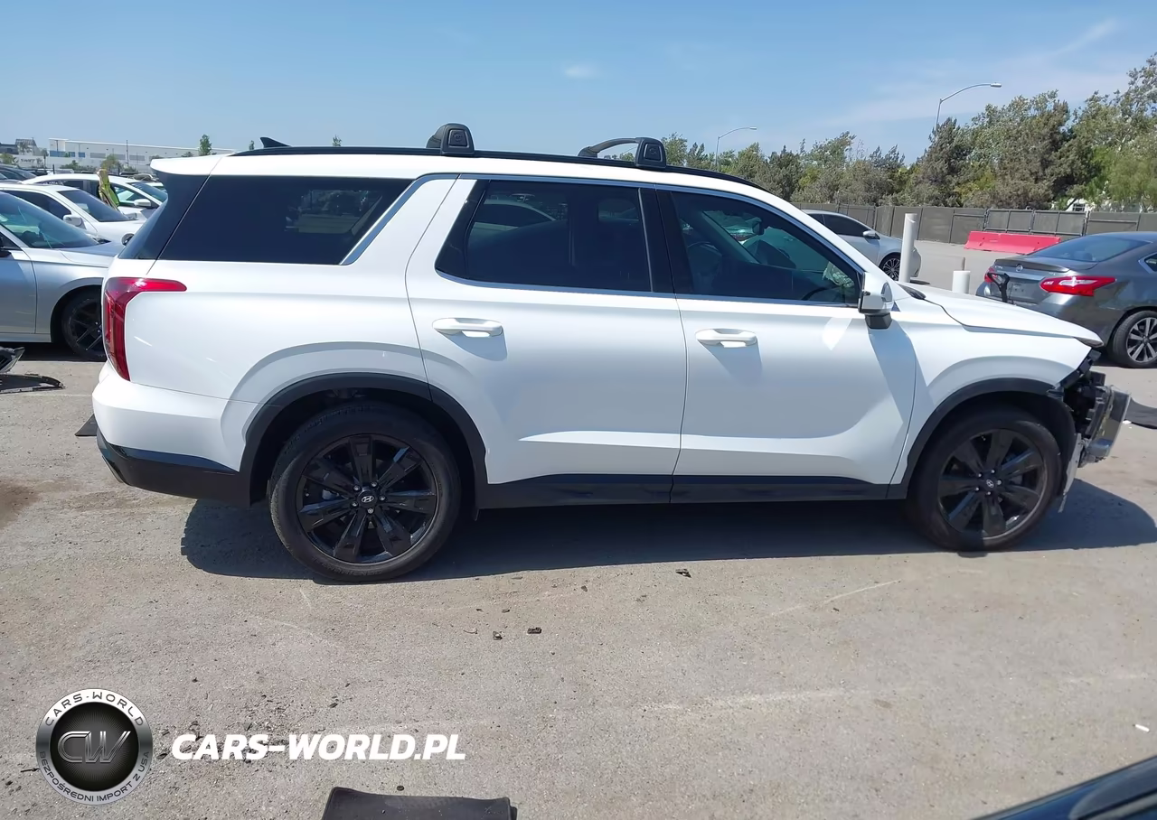 2024 Hyundai Palisade Xrt VIN:KM8R34GE8RU767619 - 14